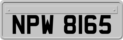 NPW8165