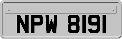 NPW8191