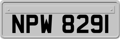NPW8291