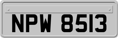 NPW8513