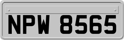NPW8565