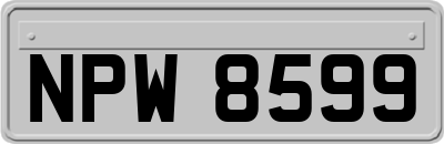 NPW8599