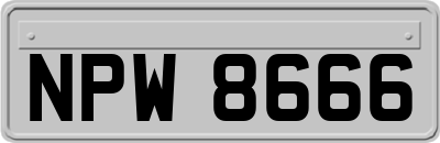 NPW8666