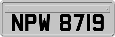 NPW8719