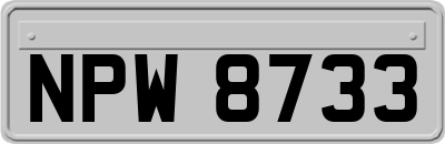 NPW8733