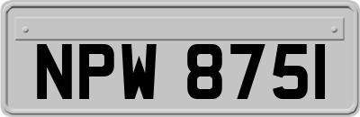 NPW8751