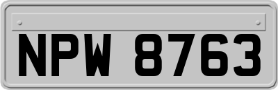 NPW8763