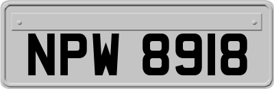 NPW8918
