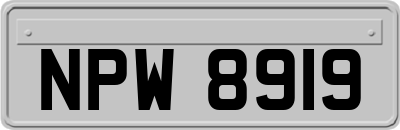 NPW8919