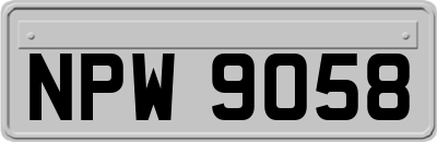 NPW9058