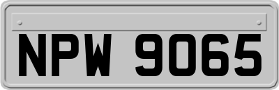 NPW9065