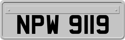 NPW9119