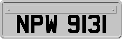 NPW9131