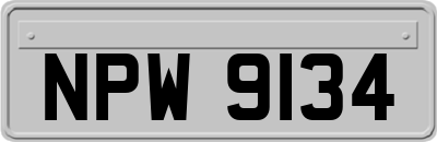 NPW9134