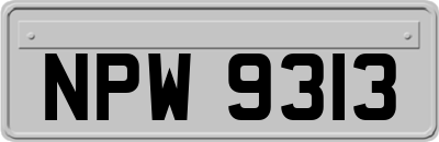 NPW9313