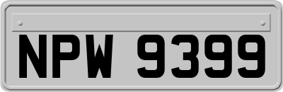 NPW9399