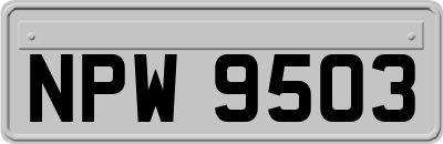 NPW9503