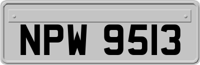 NPW9513