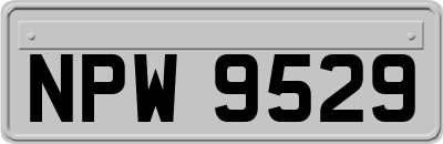 NPW9529