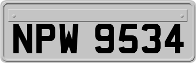 NPW9534