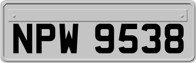 NPW9538