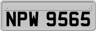 NPW9565