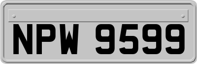 NPW9599