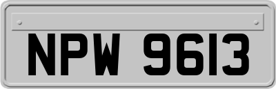 NPW9613