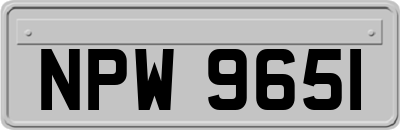 NPW9651