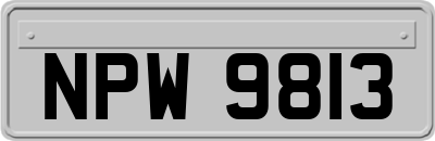 NPW9813