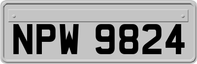NPW9824