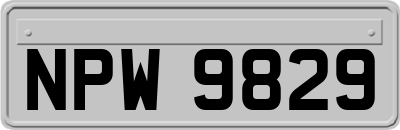 NPW9829