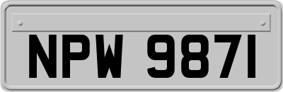 NPW9871