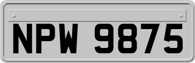 NPW9875