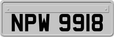 NPW9918