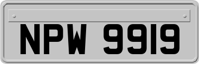 NPW9919