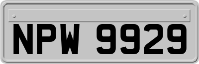 NPW9929