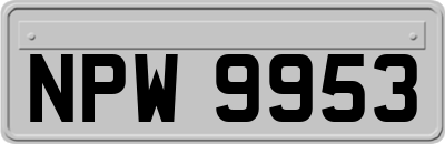 NPW9953