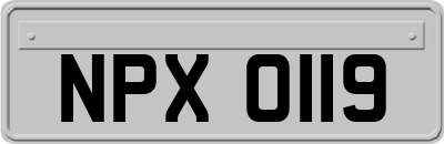 NPX0119