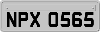 NPX0565