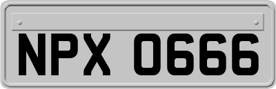 NPX0666