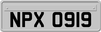NPX0919