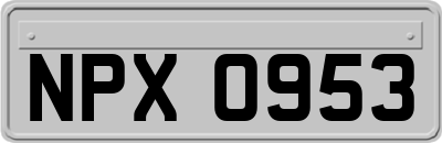 NPX0953