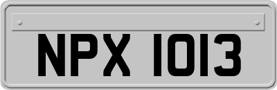 NPX1013
