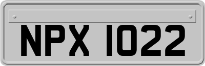 NPX1022