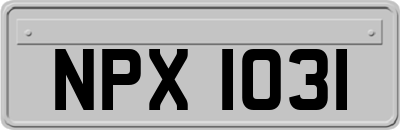 NPX1031