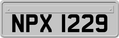 NPX1229