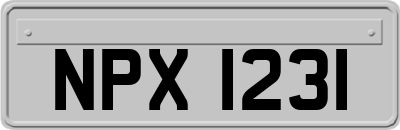 NPX1231
