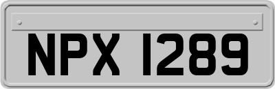 NPX1289