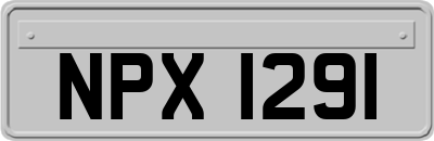 NPX1291